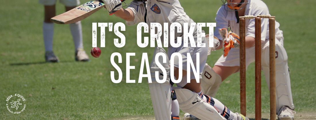 Cricket Bats