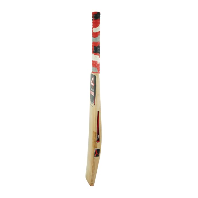 A Sega Pro Q4 Kashmir Willow cricket bat with branding and a black grip on a white background.