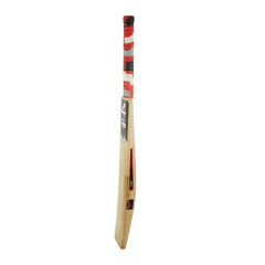 A Sega Pro Q4 Kashmir Willow cricket bat with branding and a black grip on a white background.