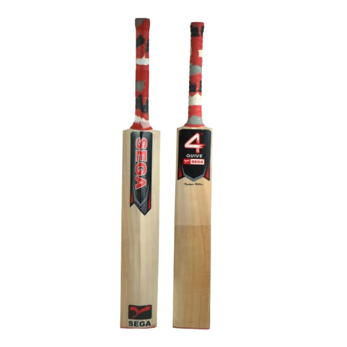 A Sega Pro Q4 Kashmir Willow cricket bat with branding and a black grip on a white background.