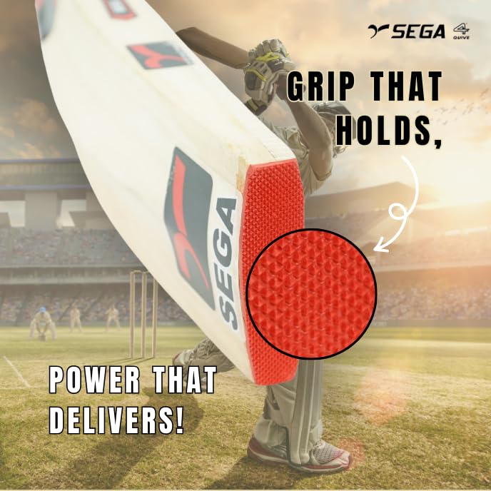 A Sega Pro Q4 Kashmir Willow cricket bat with branding and a black grip on a white background.