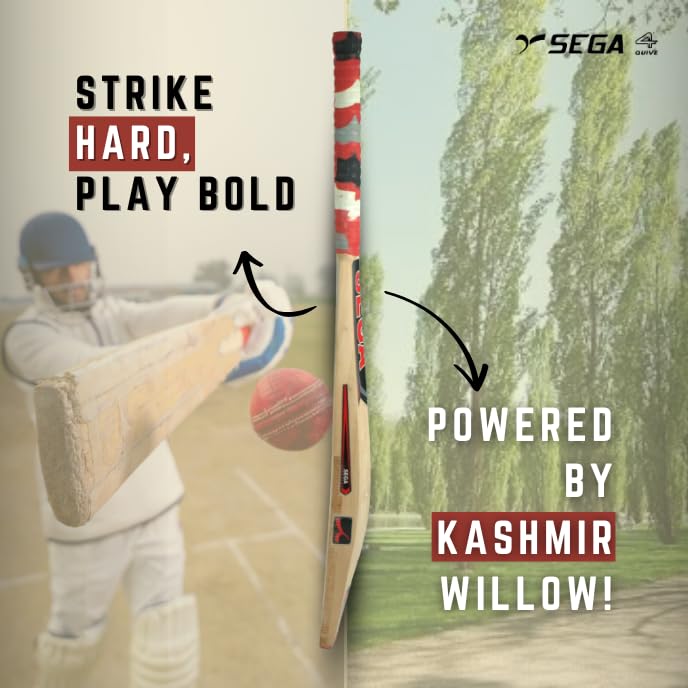 A Sega Pro Q4 Kashmir Willow cricket bat with branding and a black grip on a white background.