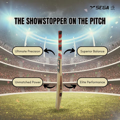 A Sega Pro Q4 Kashmir Willow cricket bat with branding and a black grip on a white background.