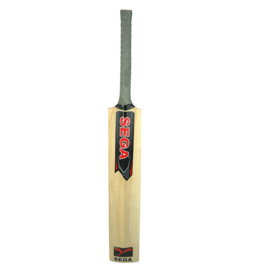 A Sega Pro Q4 Kashmir Willow cricket bat with branding and a black grip on a white background.