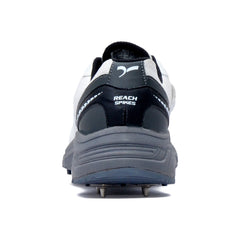 White and gray cricket sports shoes with cleats on a white background