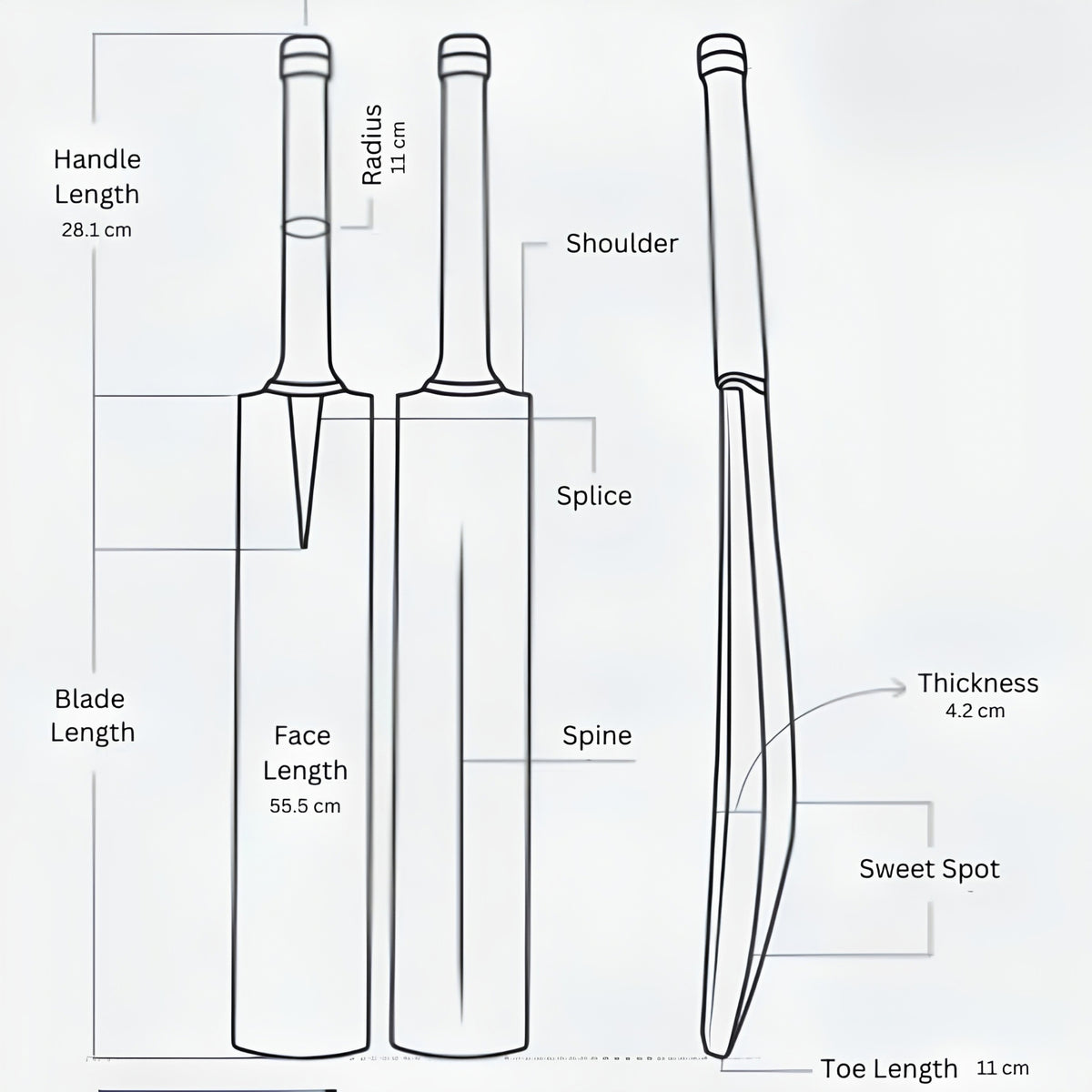 SEGA Pro Q4 Kashmir Willow Cricket Bat – product view 6