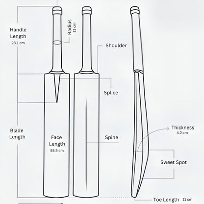 SEGA Pro Q4 Kashmir Willow Cricket Bat – product view 6